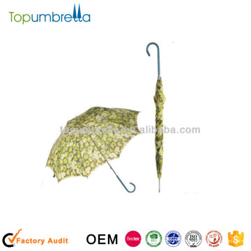 23 &quot;8rib fruits aliments couverture parapluie alimentaire parapluie